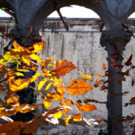 20201107_121838 piccola