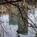 20201114_120103 piccola