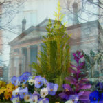 Exif_JPEG_PICTURE