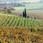 IMG_0154 Susegana piccola