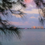 P1230222 Sarasota piccola