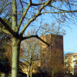 P1280825 Rovigo