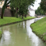 20200609_122527 piccola