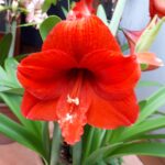 20190522_100553
