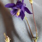 20190530_205435