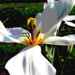 DSCN2716mod 2