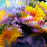 DSCN3245mod