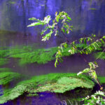 DSCN3681mod2